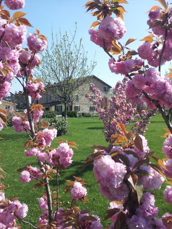Agriturismo Il Brugnolo Scandiano Exterior foto